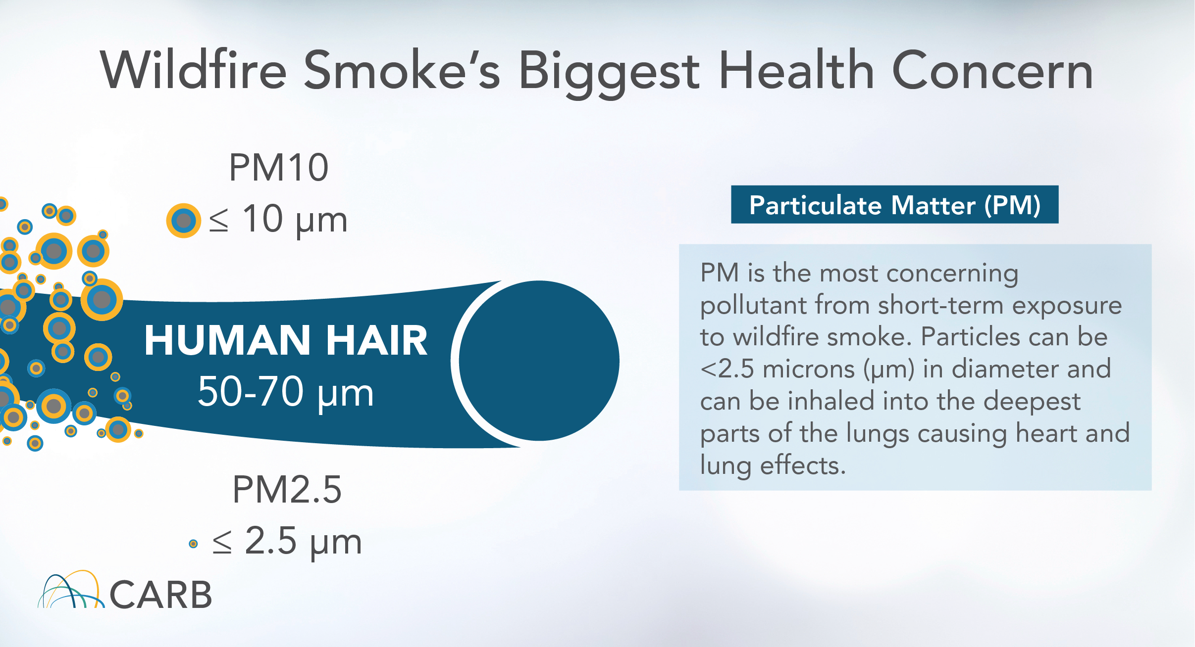 Wildfire Smoke’s Biggest Health Concern Particulate matter is the main pollutant of concern from wildfire smoke for short-term exposures (hours to weeks) typically experienced by the public. Particles from smoke are very small (2.5 microns or less in diameter) and can be inhaled into the deepest parts of the lungs. The association between PM2.5 and heart and lung health effects is well documented in scientific literature.  PM2.5: ≤ 2.5 μm PM10: ≤ 10 μm Human Hair: 50-70 μm