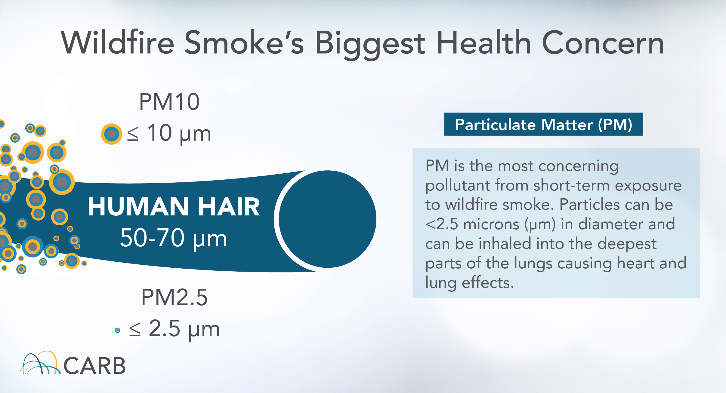 Wildfire Smoke’s Biggest Health Concern Particulate matter is the main pollutant of concern from wildfire smoke for short-term exposures (hours to weeks) typically experienced by the public. Particles from smoke are very small (2.5 microns or less in diameter) and can be inhaled into the deepest parts of the lungs. The association between PM2.5 and heart and lung health effects is well documented in scientific literature. PM2.5: ≤ 2.5 μm PM10: ≤ 10 μm Human Hair: 50-70 μm