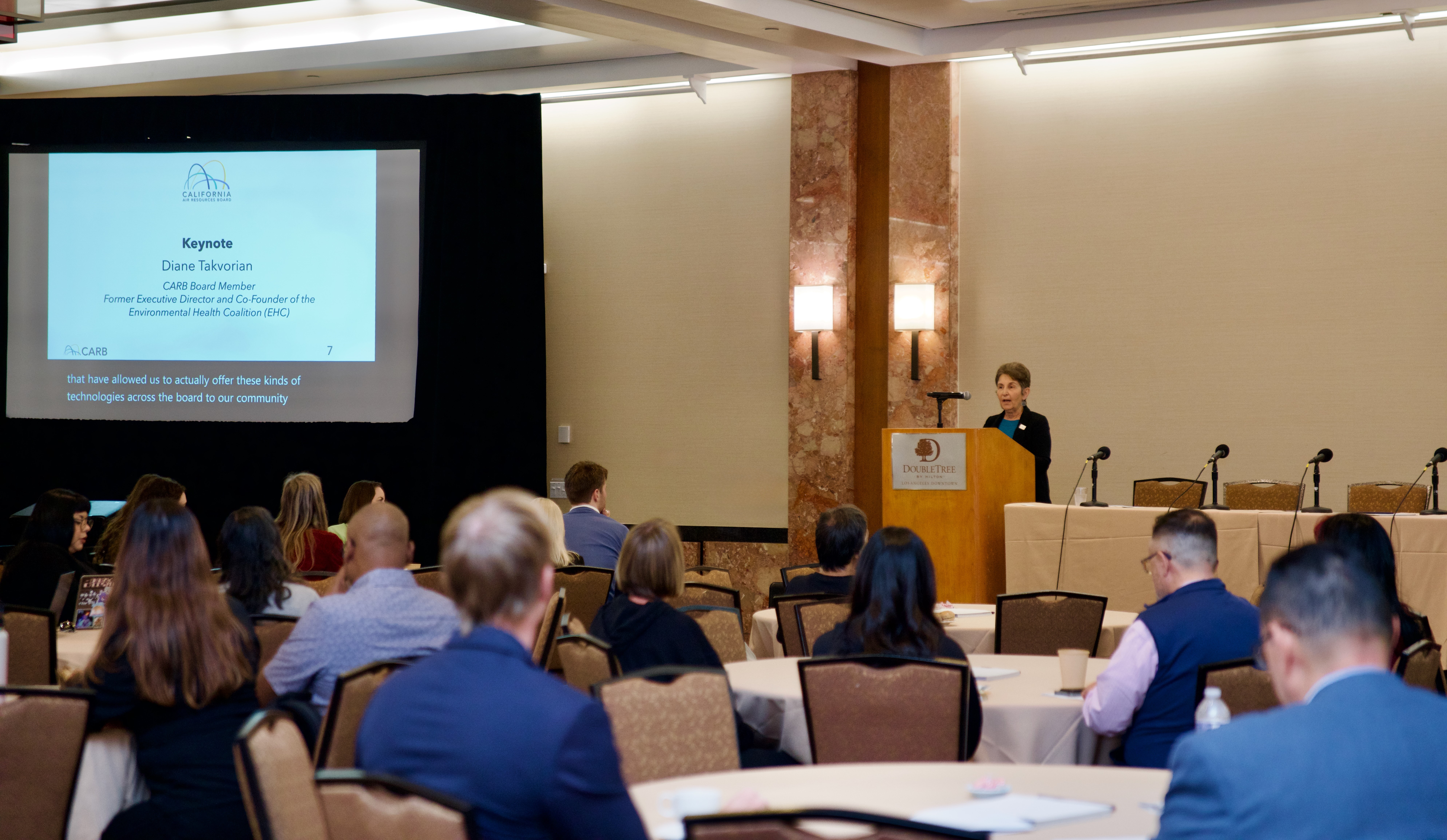 Person at podium presenting information to group of people