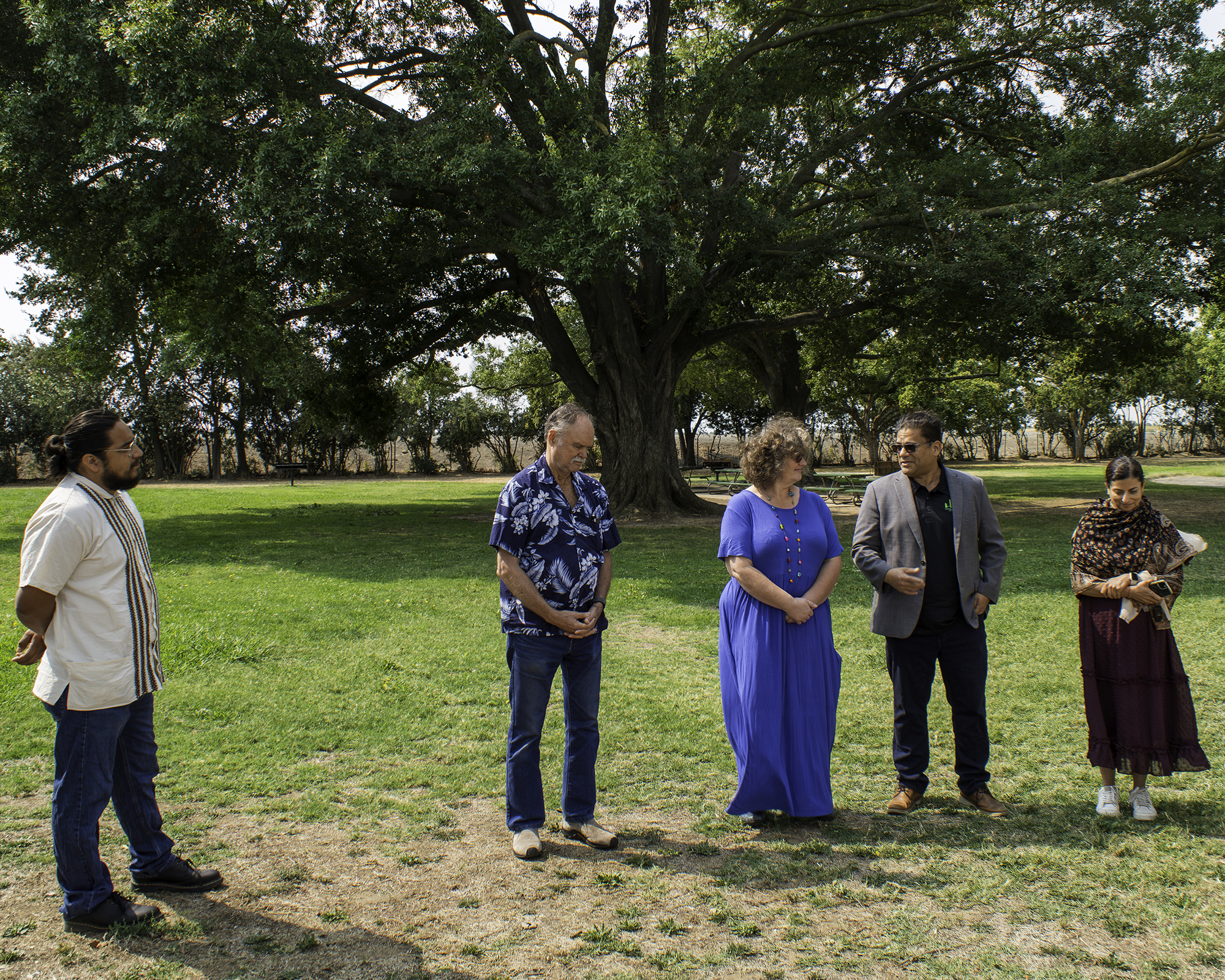 committee in park