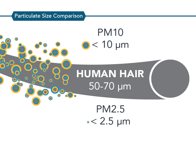 particulate size comparison