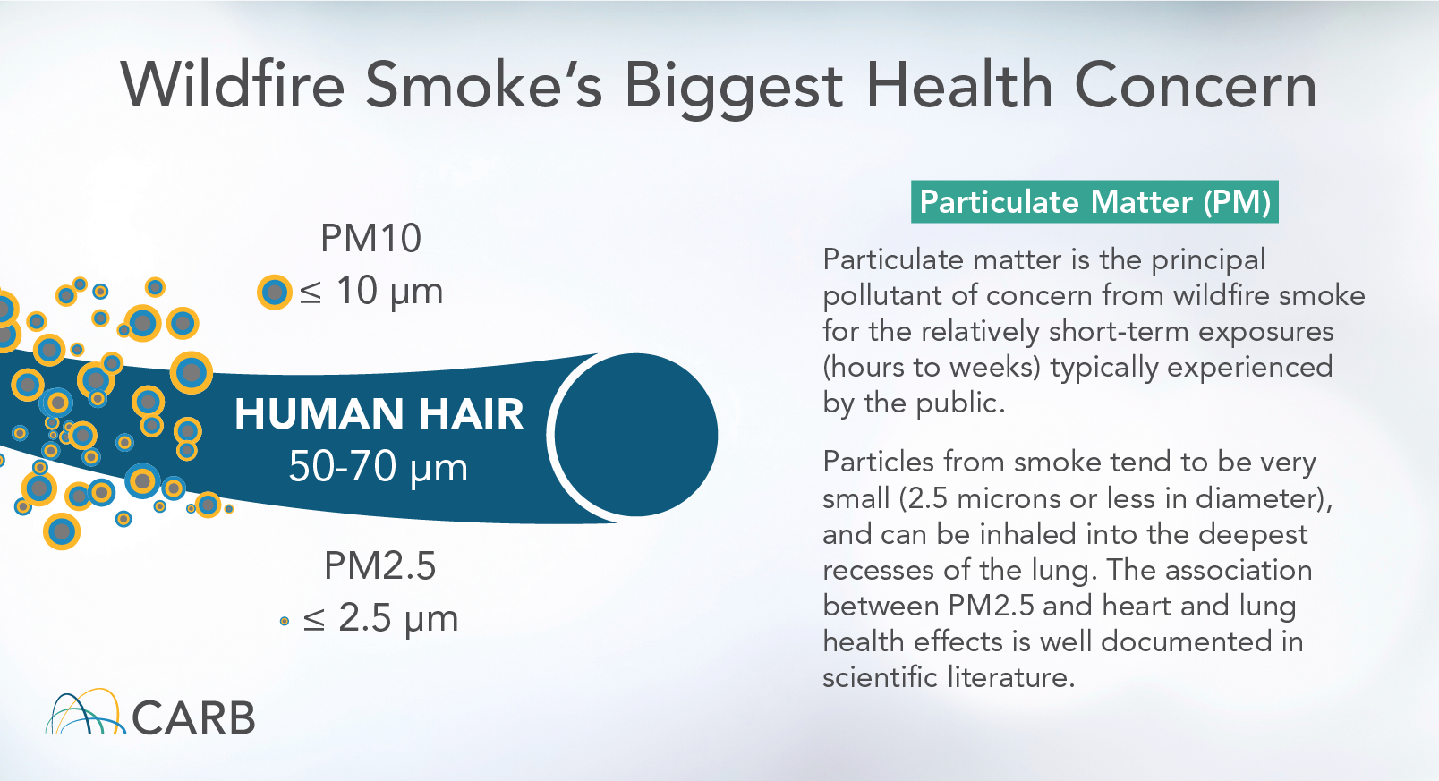 wildfire smoke health concerns