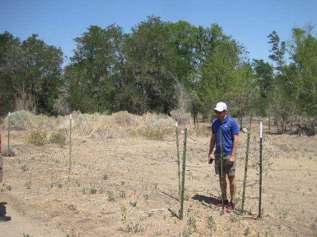 Big Pine ground surveyor 