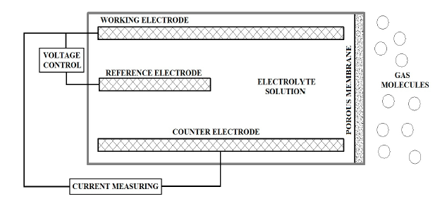 Schematic of electrochemical sensor