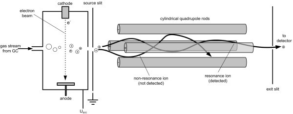 Schematic of electron ionization gas chromatography (GC) mass spectrometry. Samples separated by the GC enter the ionization chamber (left box), where a charge is applied. The individual ions are then detected within the quadrapole rods based on their mass-to-charge ratio prior to entering the detector. (Source: Wittmann, Christoph. (2007). Fluxome analysis using GC-MS. Microbial cell factories. 6. 6. 10.1186/1475-2859-6-6) 