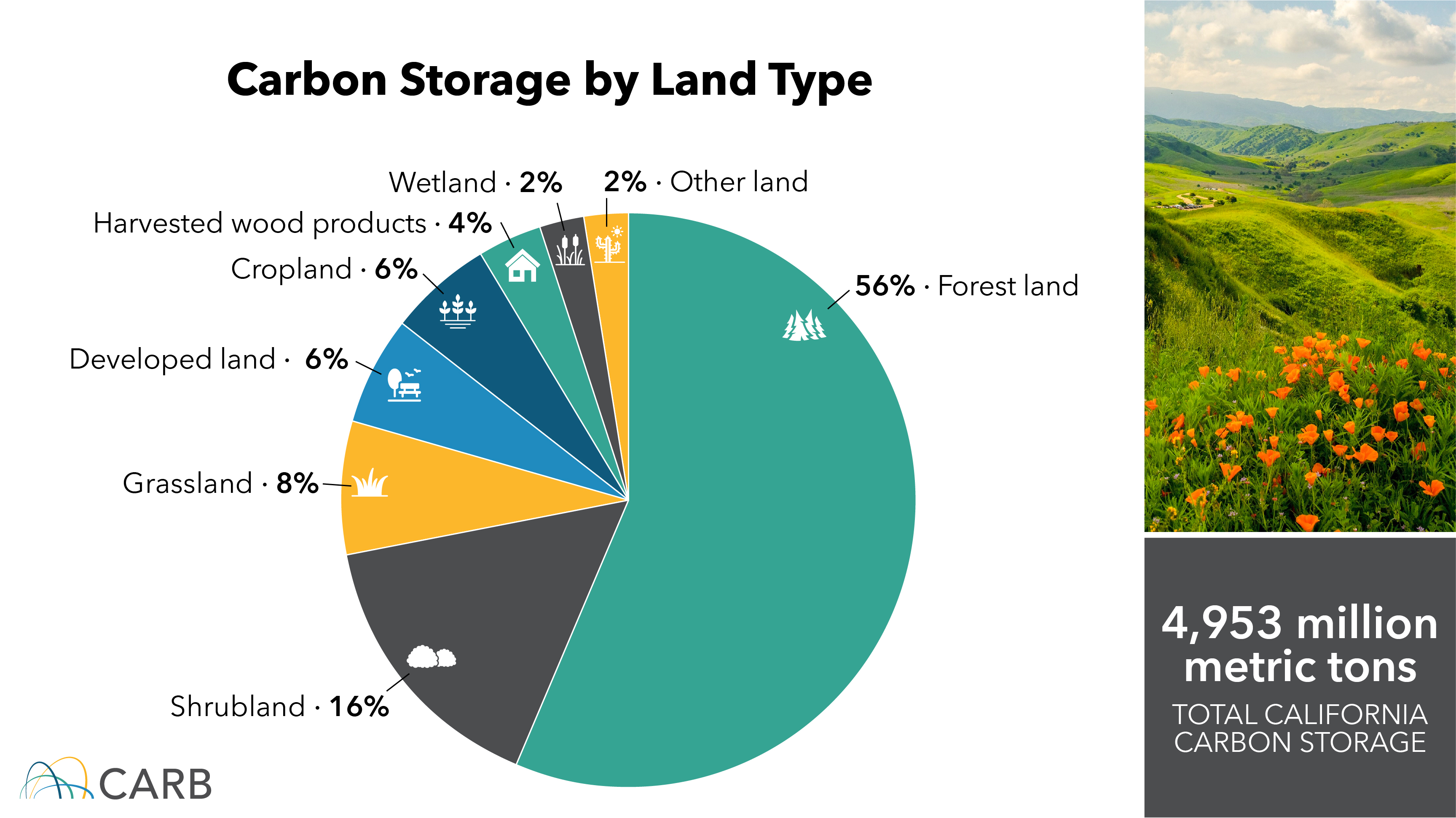 Carbon storage by land type infographic
