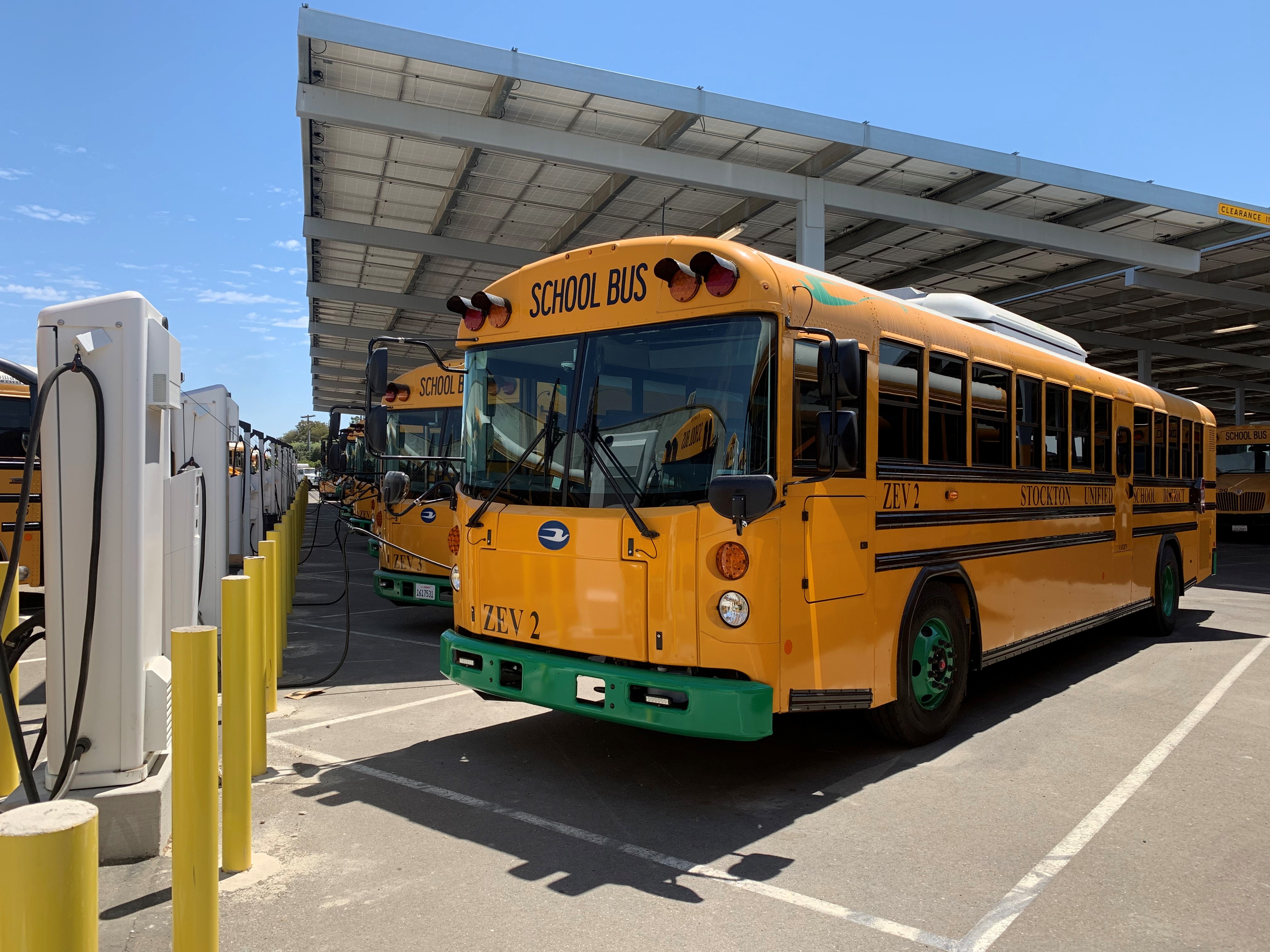 Fleet of electric school buses parked at charging stations
