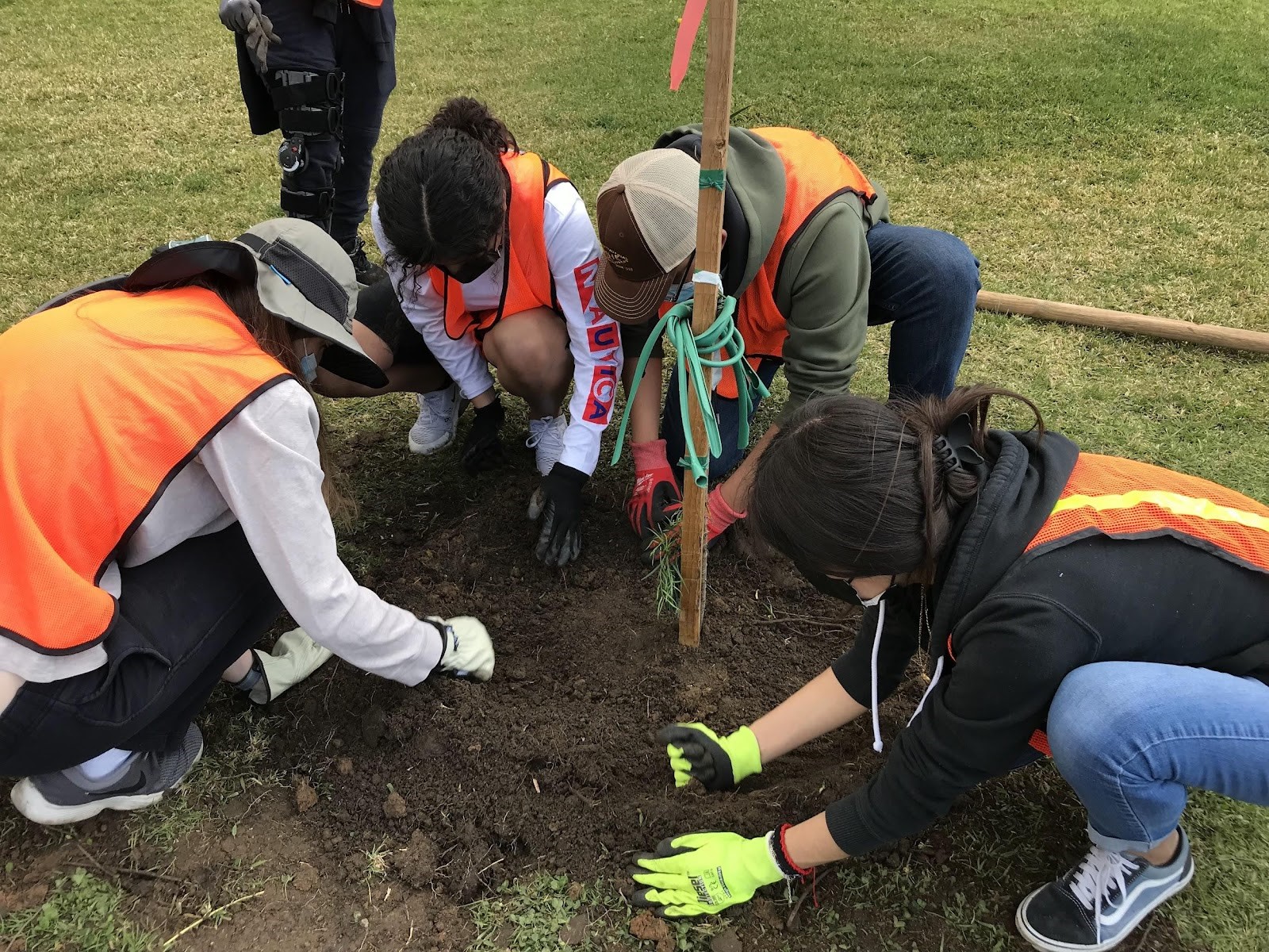 Volunteers planting trees