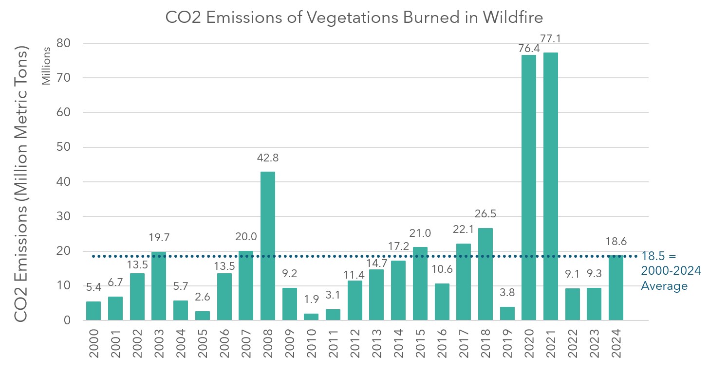 A bar chart showing the carbon dioxide emissions of vegetation burned in wildfire. Numbers are in unit of million metric tons, and are shown for each year between 2000 and 2024. The 2000-2024 average is also displayed in the chart.