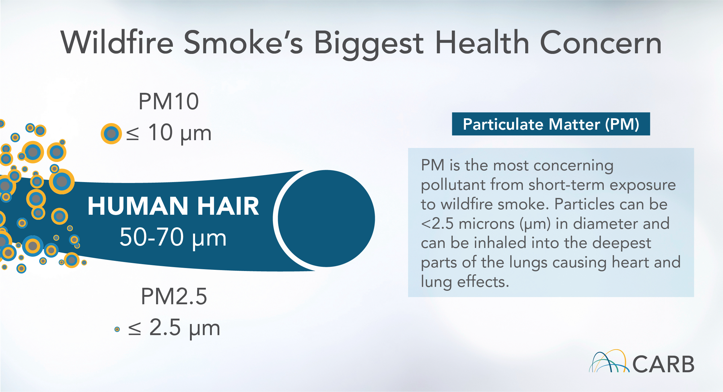 Wildfire Smoke’s Biggest Health Concern - PM is the most concerning pollutant from short-term exposure to wildfire smoke. Particles can be <2.5 microns (μm) in diameter and can be inhaled into the deepest parts of the lungs causing heart and lung effects. PM2.5: ≤ 2.5 μm, PM10: ≤ 10 μm, Human Hair: 50-70 μm. 