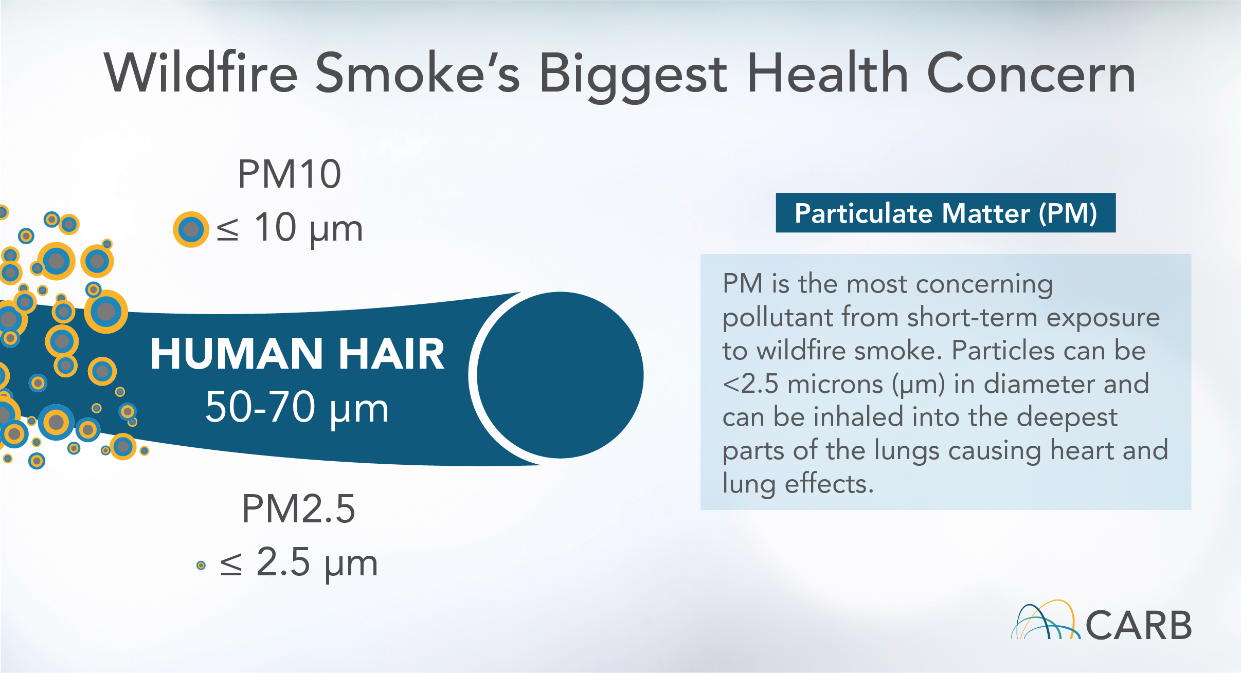 smoke particles and gases