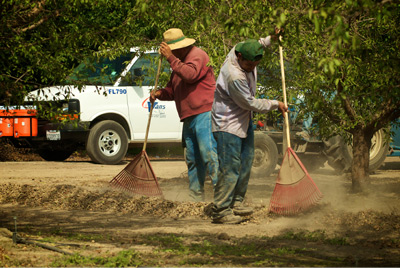 2 farmers working on the field and white van on the background