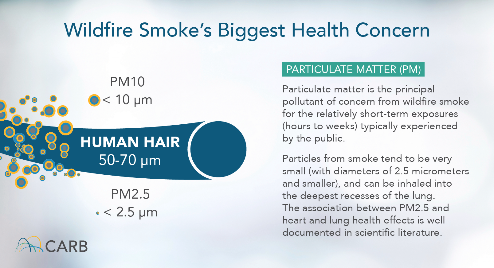 Protecting Yourself From Wildfire Smoke California Air Resources Board 7923