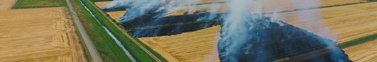 agriculture burning in wheat field