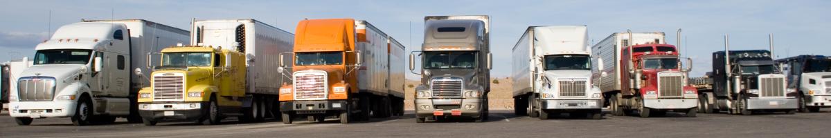 diesel trucks parked in a row