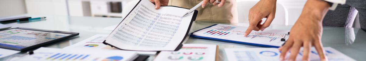 Climate Disclosure Program