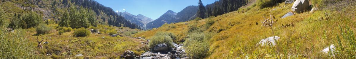 Sierra National Forest