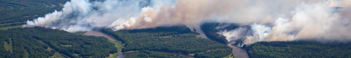 Air Pollutants