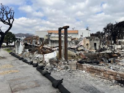 Photo of debris after wildfire destroyed buildings along a sidewalk in the Pacific Palisades area.