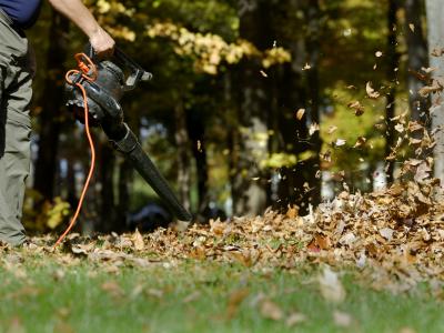electric leaf blower