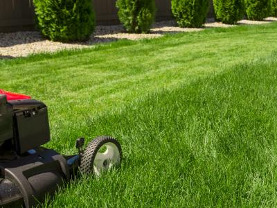 lawnmower